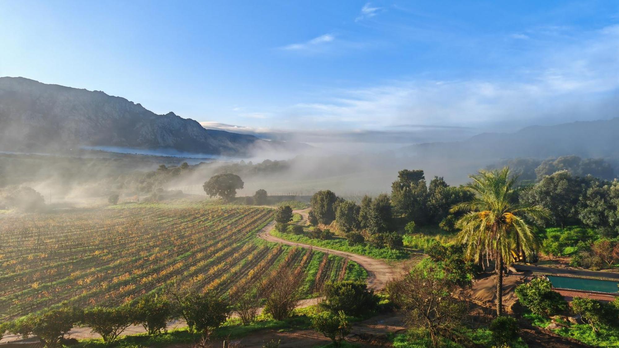 Le Hameau De Saparale Sartene  Ngoại thất bức ảnh