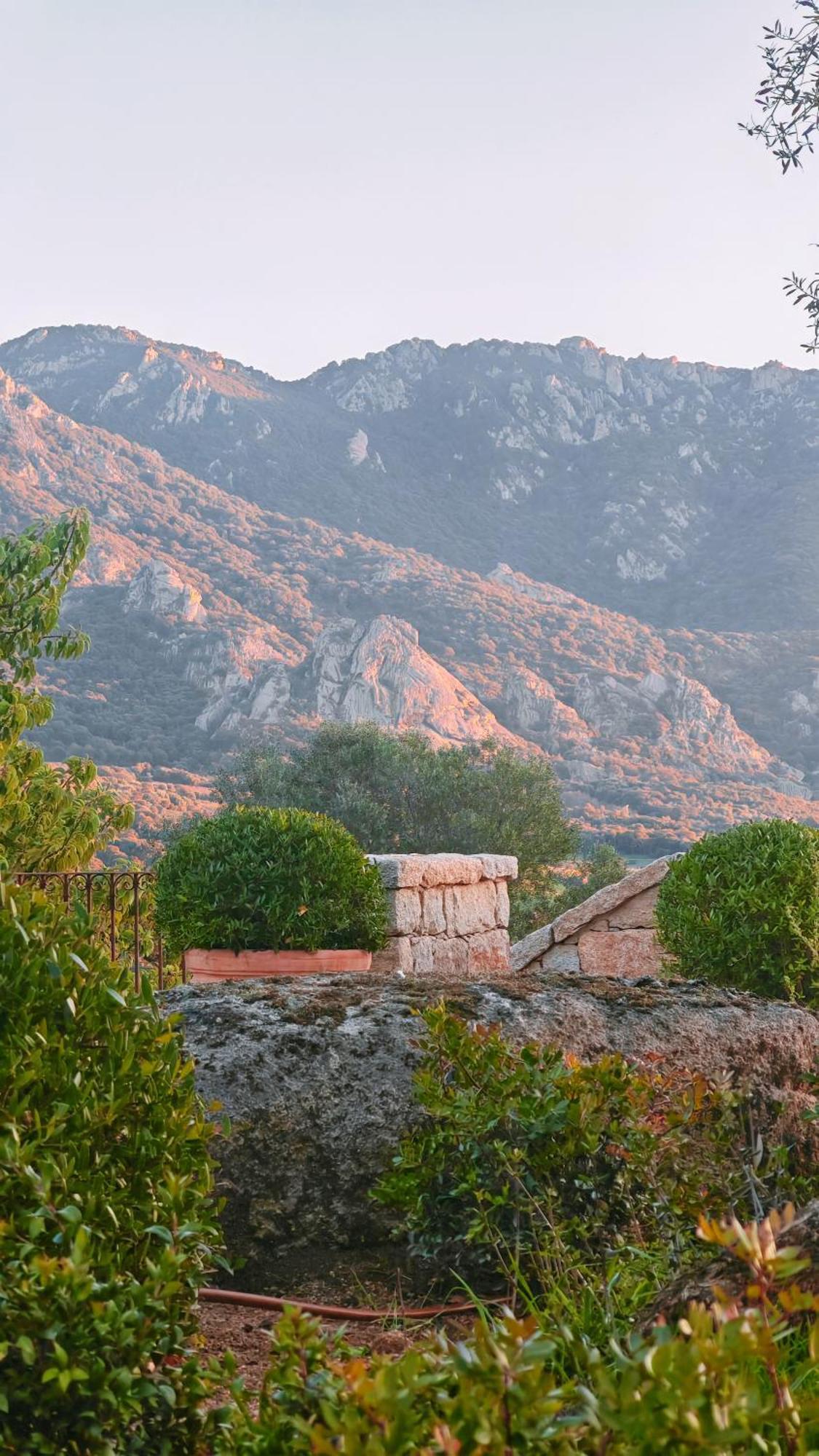 Le Hameau De Saparale Sartene  Ngoại thất bức ảnh